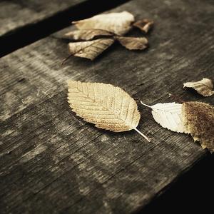 亚洲老奶老太性爱视频
